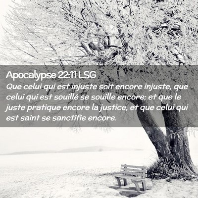 Picture 02 - Apocalypse 22:11 LSG - Que celui qui est injuste soit encore injuste, - Bible Verse Picture