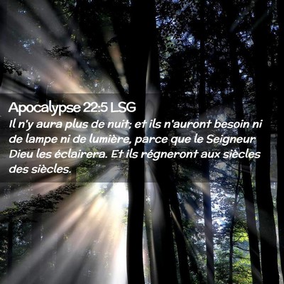 Picture 02 - Apocalypse 22:5 LSG - Il n'y aura plus de nuit; et ils n'auront besoin - Bible Verse Picture