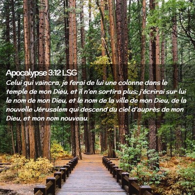 Picture 02 - Apocalypse 3:12 LSG - Celui qui vaincra, je ferai de lui une colonne - Bible Verse Picture