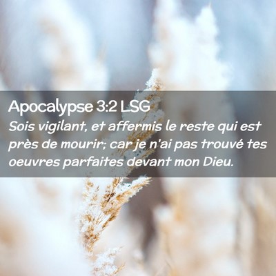 Picture 02 - Apocalypse 3:2 LSG - Sois vigilant, et affermis le reste qui est près - Bible Verse Picture