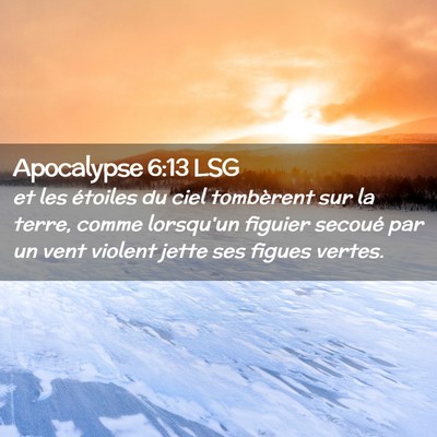 Picture 02 - Apocalypse 6:13 LSG - et les étoiles du ciel tombèrent sur la terre, - Bible Verse Picture