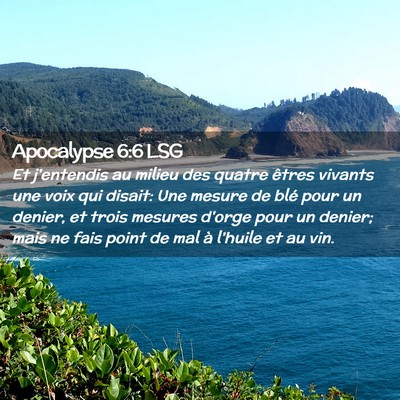 Picture 02 - Apocalypse 6:6 LSG - Et j'entendis au milieu des quatre êtres vivants - Bible Verse Picture