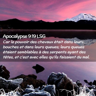 Picture 02 - Apocalypse 9:19 LSG - Car le pouvoir des chevaux était dans leurs - Bible Verse Picture