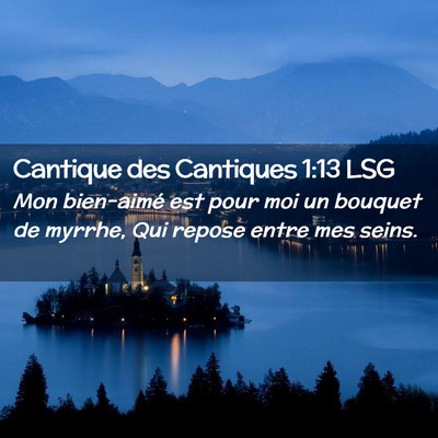Picture 02 - Cantique des Cantiques 1:13 LSG - Mon bien-aimé est pour moi un bouquet de myrrhe, - Bible Verse Picture