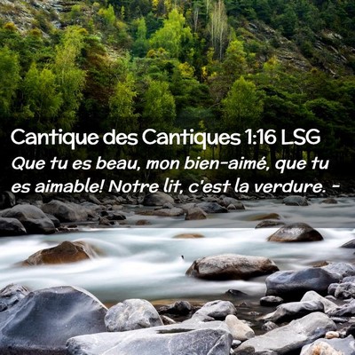 Picture 02 - Cantique des Cantiques 1:16 LSG - Que tu es beau, mon bien-aimé, que tu es - Bible Verse Picture