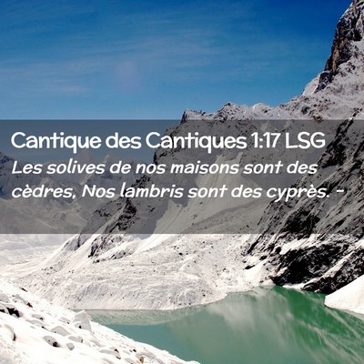 Picture 02 - Cantique des Cantiques 1:17 LSG - Les solives de nos maisons sont des cèdres, Nos - Bible Verse Picture