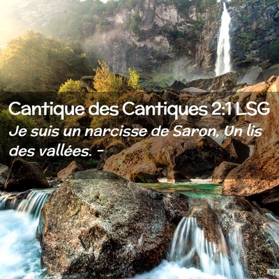 Picture 02 - Cantique des Cantiques 2:1 LSG - Je suis un narcisse de Saron, Un lis des - Bible Verse Picture