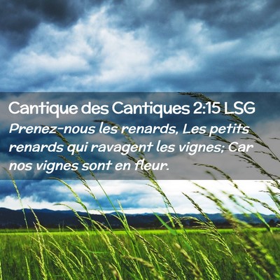 Picture 02 - Cantique des Cantiques 2:15 LSG - Prenez-nous les renards, Les petits renards qui - Bible Verse Picture