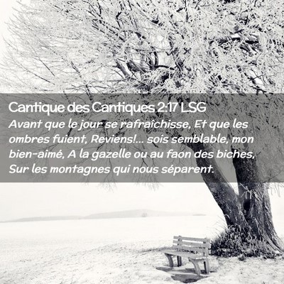 Picture 02 - Cantique des Cantiques 2:17 LSG - Avant que le jour se rafraîchisse, Et que les - Bible Verse Picture