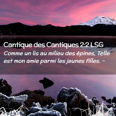 Picture 02 - Cantique des Cantiques 2:2 LSG - Comme un lis au milieu des épines, Telle est mon - Bible Verse Picture