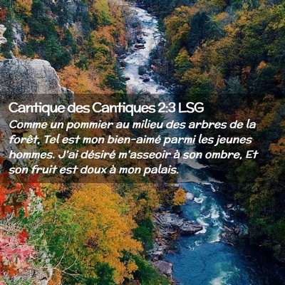 Picture 02 - Cantique des Cantiques 2:3 LSG - Comme un pommier au milieu des arbres de la - Bible Verse Picture