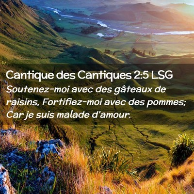 Picture 02 - Cantique des Cantiques 2:5 LSG - Soutenez-moi avec des gâteaux de raisins, - Bible Verse Picture
