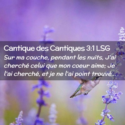 Picture 02 - Cantique des Cantiques 3:1 LSG - Sur ma couche, pendant les nuits, J'ai cherché - Bible Verse Picture