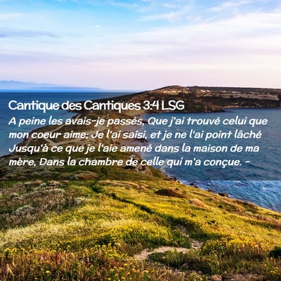 Picture 02 - Cantique des Cantiques 3:4 LSG - A peine les avais-je passés, Que j'ai trouvé - Bible Verse Picture