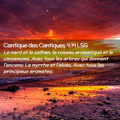 Picture 02 - Cantique des Cantiques 4:14 LSG - Le nard et le safran, le roseau aromatique et le - Bible Verse Picture
