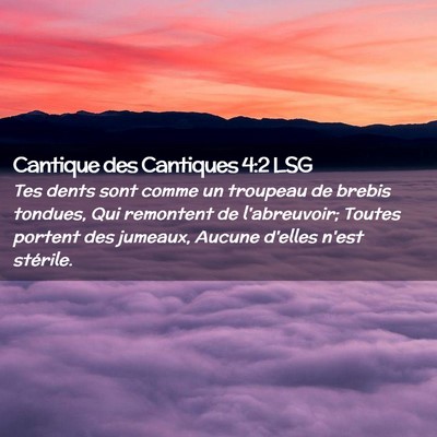 Picture 02 - Cantique des Cantiques 4:2 LSG - Tes dents sont comme un troupeau de brebis - Bible Verse Picture