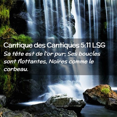 Picture 02 - Cantique des Cantiques 5:11 LSG - Sa tête est de l'or pur; Ses boucles sont - Bible Verse Picture