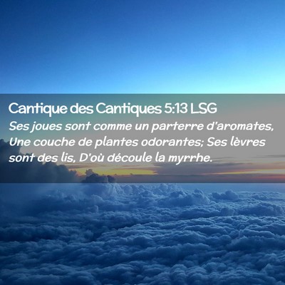 Picture 02 - Cantique des Cantiques 5:13 LSG - Ses joues sont comme un parterre d'aromates, Une - Bible Verse Picture