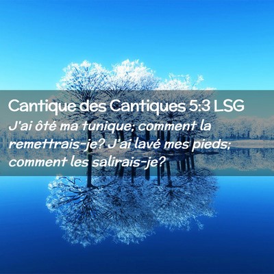 Picture 02 - Cantique des Cantiques 5:3 LSG - J'ai ôté ma tunique; comment la remettrais-je? - Bible Verse Picture