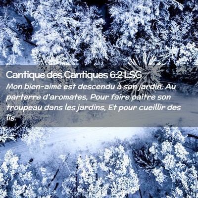 Picture 02 - Cantique des Cantiques 6:2 LSG - Mon bien-aimé est descendu à son jardin, Au - Bible Verse Picture