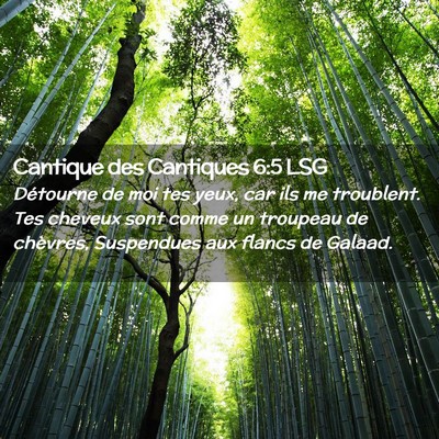 Picture 02 - Cantique des Cantiques 6:5 LSG - Détourne de moi tes yeux, car ils me troublent. - Bible Verse Picture