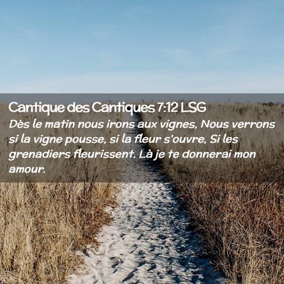 Picture 02 - Cantique des Cantiques 7:12 LSG - Dès le matin nous irons aux vignes, Nous verrons - Bible Verse Picture