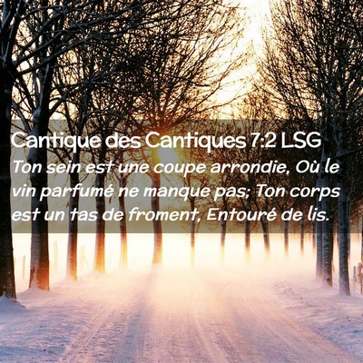Picture 02 - Cantique des Cantiques 7:2 LSG - Ton sein est une coupe arrondie, Où le vin - Bible Verse Picture
