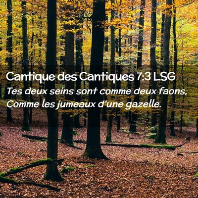 Picture 02 - Cantique des Cantiques 7:3 LSG - Tes deux seins sont comme deux faons, Comme les - Bible Verse Picture