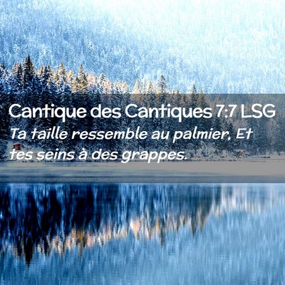 Picture 02 - Cantique des Cantiques 7:7 LSG - Ta taille ressemble au palmier, Et tes seins à - Bible Verse Picture