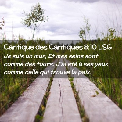 Picture 02 - Cantique des Cantiques 8:10 LSG - Je suis un mur, Et mes seins sont comme des - Bible Verse Picture