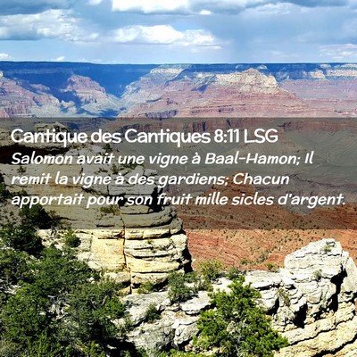 Picture 02 - Cantique des Cantiques 8:11 LSG - Salomon avait une vigne à Baal-Hamon; Il remit - Bible Verse Picture