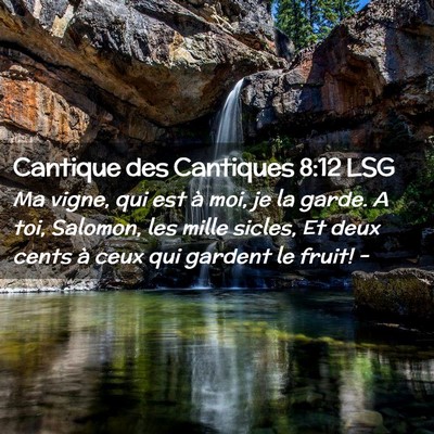 Picture 02 - Cantique des Cantiques 8:12 LSG - Ma vigne, qui est à moi, je la garde. A toi, - Bible Verse Picture