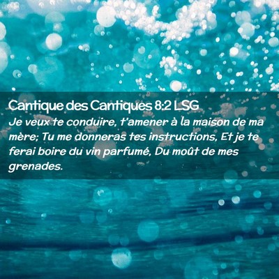 Picture 02 - Cantique des Cantiques 8:2 LSG - Je veux te conduire, t'amener à la maison de ma - Bible Verse Picture