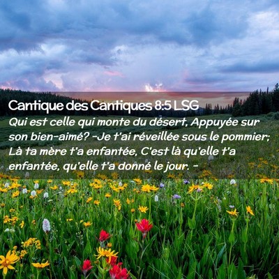 Picture 02 - Cantique des Cantiques 8:5 LSG - Qui est celle qui monte du désert, Appuyée sur - Bible Verse Picture
