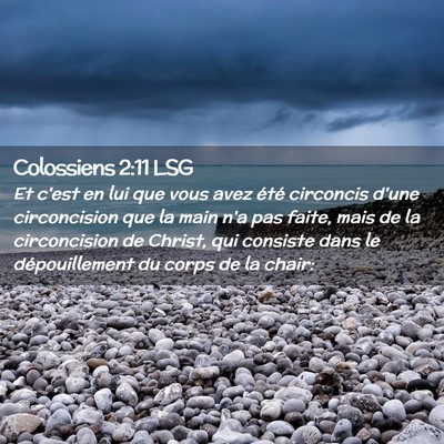 Picture 02 - Colossiens 2:11 LSG - Et c'est en lui que vous avez été circoncis - Bible Verse Picture