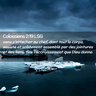 Picture 02 - Colossiens 2:19 LSG - sans s'attacher au chef, dont tout le corps, - Bible Verse Picture