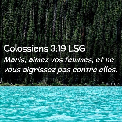 Picture 02 - Colossiens 3:19 LSG - Maris, aimez vos femmes, et ne vous aigrissez pas - Bible Verse Picture