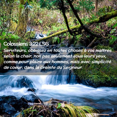 Picture 02 - Colossiens 3:22 LSG - Serviteurs, obéissez en toutes choses à vos - Bible Verse Picture