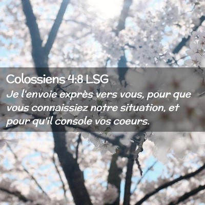 Picture 02 - Colossiens 4:8 LSG - Je l'envoie exprès vers vous, pour que vous - Bible Verse Picture