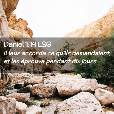 Picture 02 - Daniel 1:14 LSG - Il leur accorda ce qu'ils demandaient, et les - Bible Verse Picture