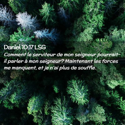 Picture 02 - Daniel 10:17 LSG - Comment le serviteur de mon seigneur pourrait-il - Bible Verse Picture