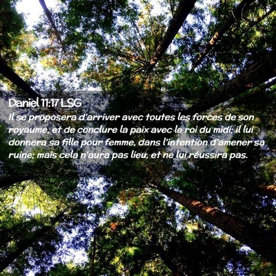 Picture 02 - Daniel 11:17 LSG - Il se proposera d'arriver avec toutes les forces - Bible Verse Picture