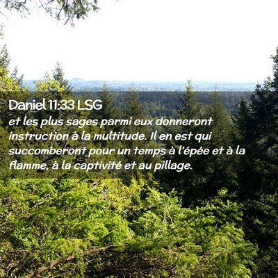 Picture 02 - Daniel 11:33 LSG - et les plus sages parmi eux donneront instruction - Bible Verse Picture