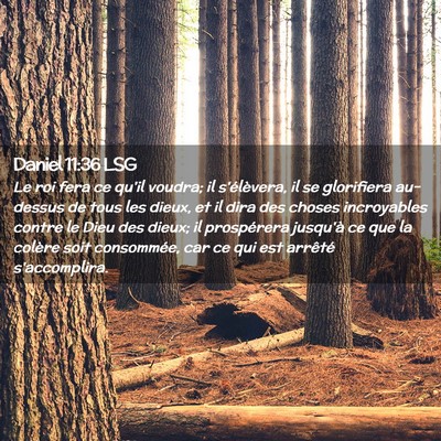 Picture 02 - Daniel 11:36 LSG - Le roi fera ce qu'il voudra; il s'élèvera, il - Bible Verse Picture
