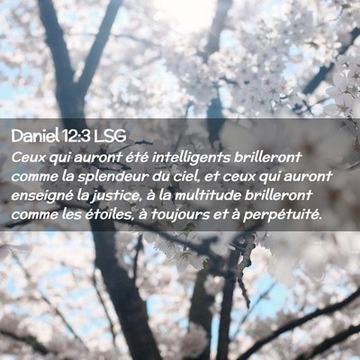 Picture 02 - Daniel 12:3 LSG - Ceux qui auront été intelligents brilleront - Bible Verse Picture