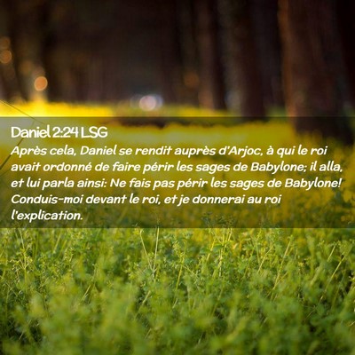 Picture 02 - Daniel 2:24 LSG - Après cela, Daniel se rendit auprès d'Arjoc, à - Bible Verse Picture