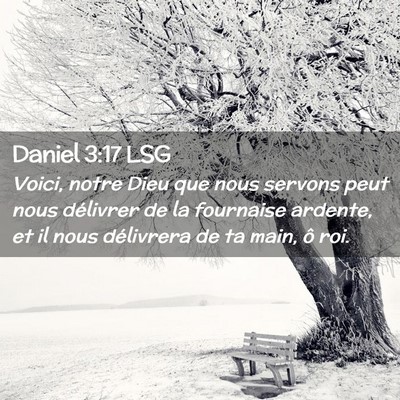 Picture 02 - Daniel 3:17 LSG - Voici, notre Dieu que nous servons peut nous - Bible Verse Picture