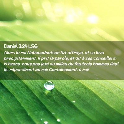 Picture 02 - Daniel 3:24 LSG - Alors le roi Nebucadnetsar fut effrayé, et se - Bible Verse Picture