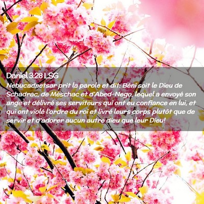 Picture 02 - Daniel 3:28 LSG - Nebucadnetsar prit la parole et dit: Béni soit - Bible Verse Picture