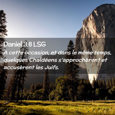 Picture 02 - Daniel 3:8 LSG - A cette occasion, et dans le même temps, - Bible Verse Picture